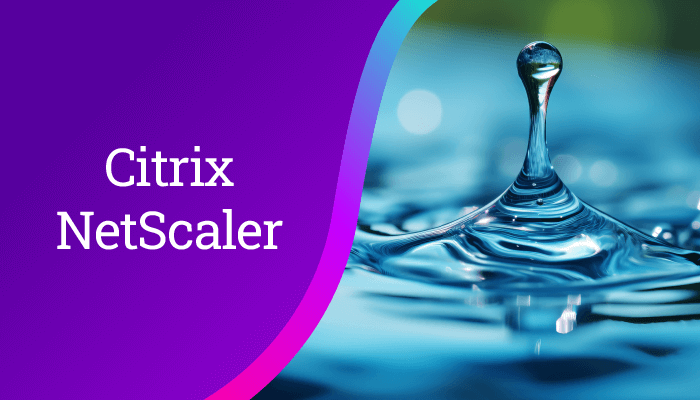 Navigating the complexities of Citrix NetScaler pooled licensing