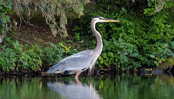 Mastering Load Balancing for MinIO Object Storage