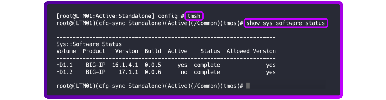 Troubleshooting F5 BIG-IP update issues