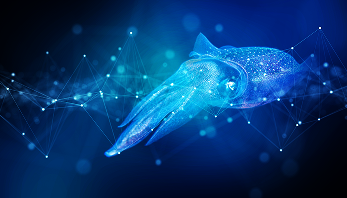 How to configure HAProxy's Proxy Protocol with Squid