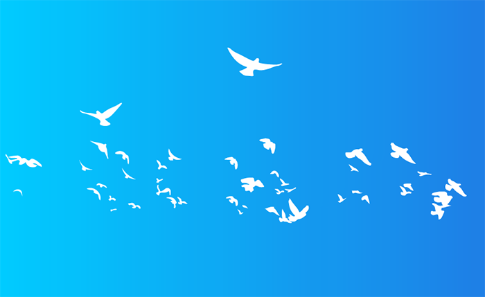 How Loadbalancer.org helped this customer migrate seamlessly from Snapt Nova