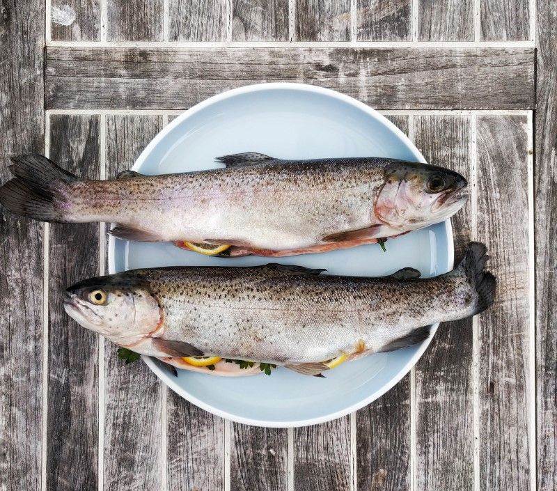 tools to help you write a health check to help you feed yourself