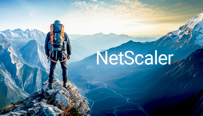 How to update a Citrix NetScaler, and problems to watch out for